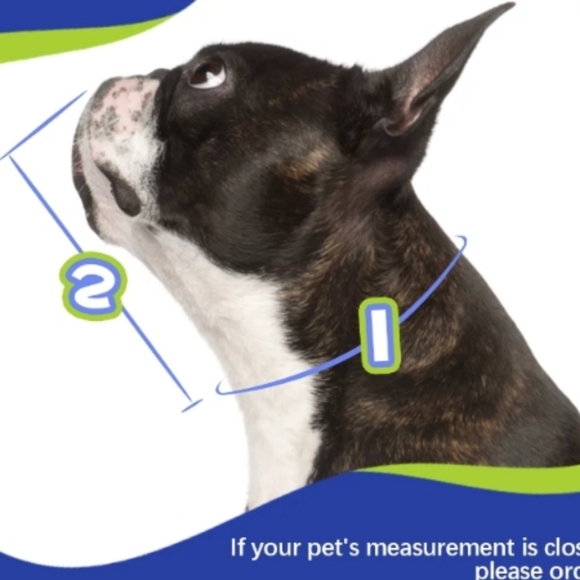 Kuoser Soft Dog Cone Collar Medium Blue after surgery Adjustable buckle straps - Picture 3 of 7